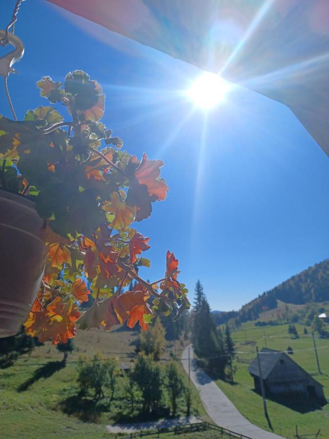 Cabana Cret Ocoale Buitenkant foto